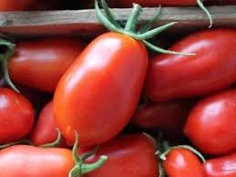 Quantité par ½ caissette : Tomate Italienne San Marzano Semences Biologiques Jardin