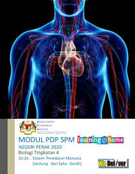 Check spelling or type a new query. Biot4 10 2a Sistem Peredaran Manusia Jantung Salur Darah Bm Flip Ebook Pages 1 13 Anyflip Anyflip