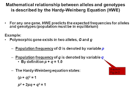 Learn why this equation can be useful, its five assumptions, and how to calculate. What Does The Variable Q Represent In The Hardy Weinberg Equation