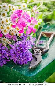 Purple petaled flowers, floral design cut flowers purple, purple flowers, flower arranging, violet png. Freshly Cut Various Types Of Flowers In Garden Canstock