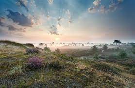 Pin Op Travel Netherlands