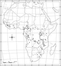 Image result for Stomatanthes africanus