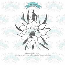 Queen Of The Night Digital Png Instant Download For Personal Etsy Flower Outline Flower Drawing Night Flowers