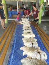Teluk sengat crocodile farm is located in kota tinggi. Croc Picture Of Teluk Sengat Crocodile Farm Kota Tinggi Tripadvisor