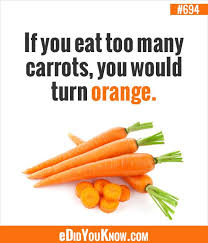 Did You Know Did You Know 694 Food Facts Wierd Facts Cool Science Facts