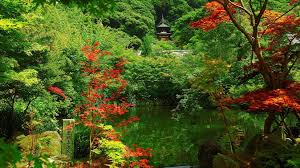 Pin By Phoenix Fire Raptor On Garden Ideas Beautiful Gardens Kyoto Garden Zen Garden