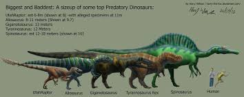 predatory dinosaur size chart by harry the fox deviantart