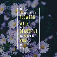 Beautiful and inspirational quotes about flowers will make the heart sing with joy that we can experience their beauty. Online Orange Flower Blooming Quote Instagram Post Template Fotor Design Maker