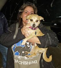 We help lives, four paws at a time. Late Night Dog Transport Brings Texas Rescue Dogs Home To Michigan Pets Theoaklandpress Com