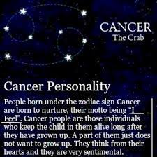 They are good at organising and will eagerly get stuck into any task. Pin By Lisa Reyes On C A N C E R I A N Cancer Personality Zodiac Signs Cancer Zodiac Facts