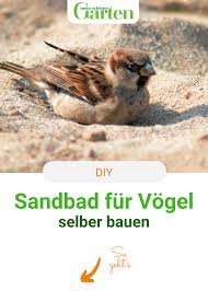 Sandbad Fur Vogel Einrichten In 2020 Vogelbad Garten Garten Anpflanzen Vogelbad