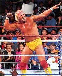 Hulk Hogan Hulk Hogan Wwf Superstars Hulk