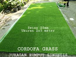 Rumput memang penutup tanah paling ideal karena dengan adanya hamparan rumput pada sisa lahan membuat bangunan rumah tampak lebih sejuk dan asri. Jual Rumput Sintetis Peroll Swiss 25mm 2x5m Rumput Taman Jenis