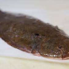 Comment préparer un filet de poisson sans arête. Tout Savoir Sur La Sole Femme Actuelle Le Mag