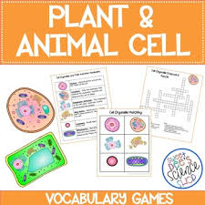 Learn about the different organelles in a plant cell, including ribosomes, the nucleus, and the golgi apparatus! Plants And Animals Cells Game Worksheets Teachers Pay Teachers