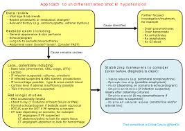 Approach To Shock Emcrit Project