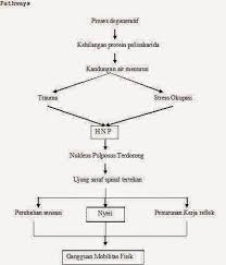 Pathway Hnp Hernia Nukleus Pulposus