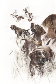 German Shorthaired Pointer Print Pointer Art German Pointer Hunting Decor Dog Art Hunting Gifts Pointer Print Pointer Brand Gsp German Shorthaired Pointer German Shorthaired Pointer Black German Shorthaired Pointer Dog