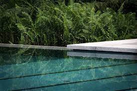 新加坡超高层独栋公寓住宅ardmore residences by tierra design s mooool residences design landscape