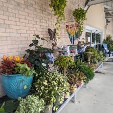 Louisiana Nursery: Home & Garden Showplace🌱 | Coursey Blvd store-front and  flower beds are second to none! 🌿🌷🌸🌺🌼 | Instagram