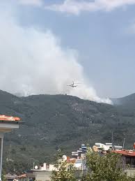 Balıkesir'in edremit ilçesinde kazdağları'nın eteklerinde yer alan doyran mahallesi'ndeki çöplükte yangın çıktı. Kazdaglari Yaniyor
