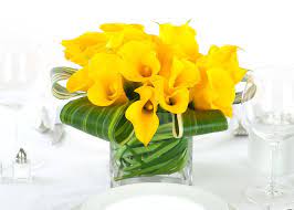 Yellow Miniature Calla Lily Premium Centerpiece Yellow Flower Arrangements Small Flower Arrangements Calla Lily