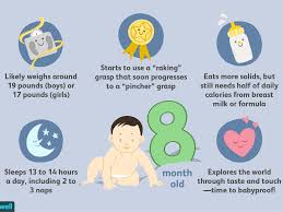 80 human years how old is 17 in cat years?: Your 8 Month Old Baby Development Milestones