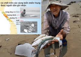 Kết quả hình ảnh cho Thảm hoạ biển miền Trung