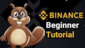 Not the sort of stuff that a back alley. Cheapest Way To Fund Binance In Canada Step By Step Youtube