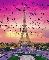 Menara eiffel ( bahasa prancis: Eiffel Tower Birds Attack Paris Architecture Design Facebook