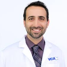 Q&A with Dr. Zachary Wright: The future of veterinary cancer care