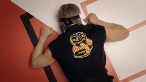Cobra kai 3x01 online, ver cobra kai 3x01 series online gratis, cobra kai temporada 3x01 ver online hd, descargar cobra kai 3x01 sub español, series cobra kai 3x01 en linea. Que Paso Con Cobra Kai Temporada 3 Mex Mads