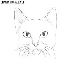 Coloriage chat à imprimer ❤️ dessin de chat à colorier ✏️ le chat domestique, ou chat de maison , est un petit. How To Draw A Cat Head Cat Face Drawing Cat Eyes Drawing Simple Cat Drawing