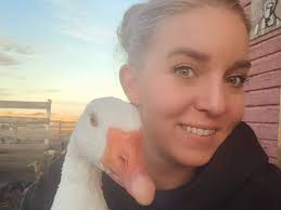 Heartbreaking' loss as avian influenza hits backyard chicken flocks in  Alberta