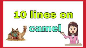 Here i share 5 lines on camel in english. 10 Lines On Camel In English Short Essay On Camel 2020 Youtube