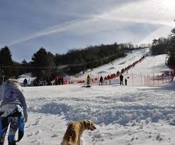 Tussey mountain is a spring hawkwatch focusing on golden eagles. Ski Racers Go For Gold At Tussey Mountain Lions Digest