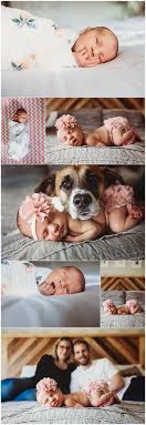 Gracie Co Photography Newborns Children Amp Children Gracie New Neugeborene Madchen Fotografie Neugeborenes Und Hund Neugeborenen Fotos