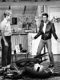 What do you plan to do when you get out of school? Famous Quotes From Fonzie Quotesgram