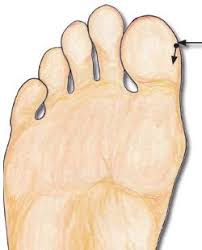 Balancing Touch Reflexology 5 Power Points Reflexology Reflexology Reflexology Points Reflexology Massage
