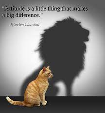 60 Most Inspirational Quotes With Images 365greetings Com Inspirational Quotes Cats Animals