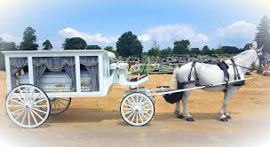 Funeral At Carl C Burnett Funeral Home In Hempstead To Greenfield Cemetery In Uniondale Ny Our White Hearse Got Many C Horse Drawn Wagon Horse Carriage Hearse