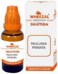 Image result for Paullinia pinnata