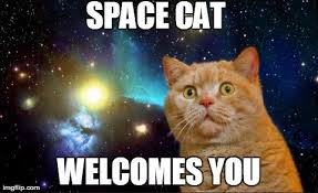 Image result for welcome to the internet meme