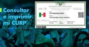 Una vez hayas cliqueado en la pantalla te aparecerán 8 casillas que debes. Consultar E Imprimir Mi Curp El Economista
