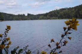 Most households in the area can be supplied with drinking water from the genkeltalsperre. Genkeltalsperre Medienwerkstatt Wissen C 2006 2021 Medienwerkstatt