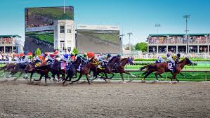 File:Kentucky Derby 2014-0214 (14130332164).jpg
