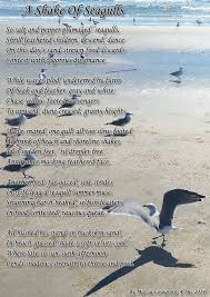 A Shake Of Seagulls Nature Poems Seagull Nature Poem Lake Ontario