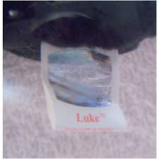 1998 Beanie Baby Luke The Dog Spelling Error And No Number In Tush Tag Mwmt 008421042142 On Ebid Ireland 193808990