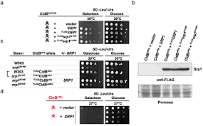 118,871 likes · 392 talking about this · 2,159 were here. The Wolbachia Cytoplasmic Incompatibility Enzyme Cidb Targets Nuclear Import And Protamine Histone Exchange Factors Elife