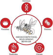 Factors affecting insects' abilities to survive and reproduce. Research... | Download Scientific Diagram